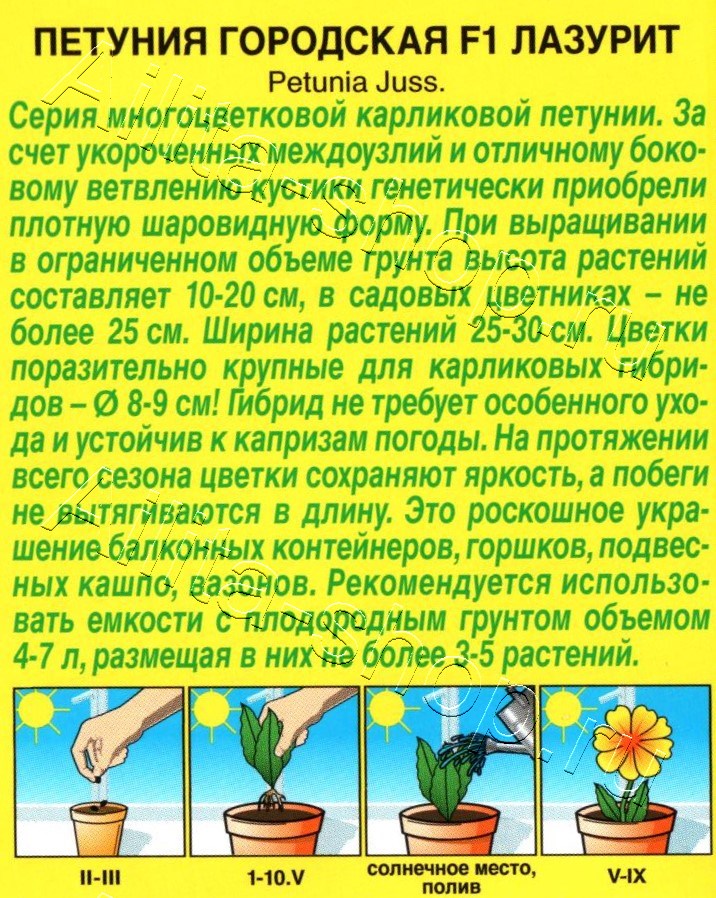 Петуния Городская F1 лазурит 7шт