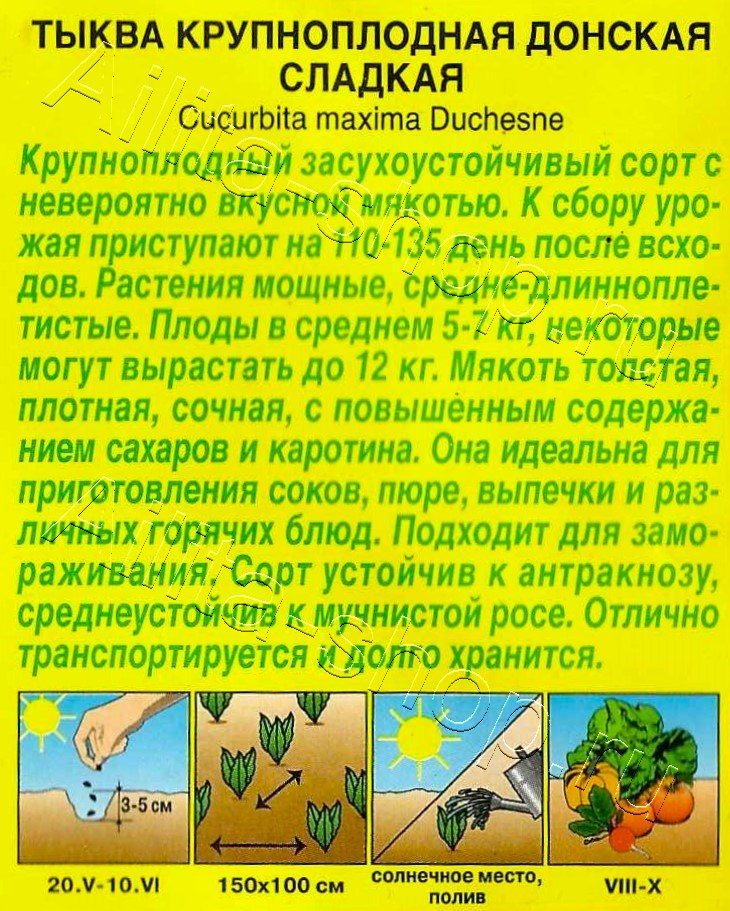 Тыква крупноплодная Донская сладкая 1г