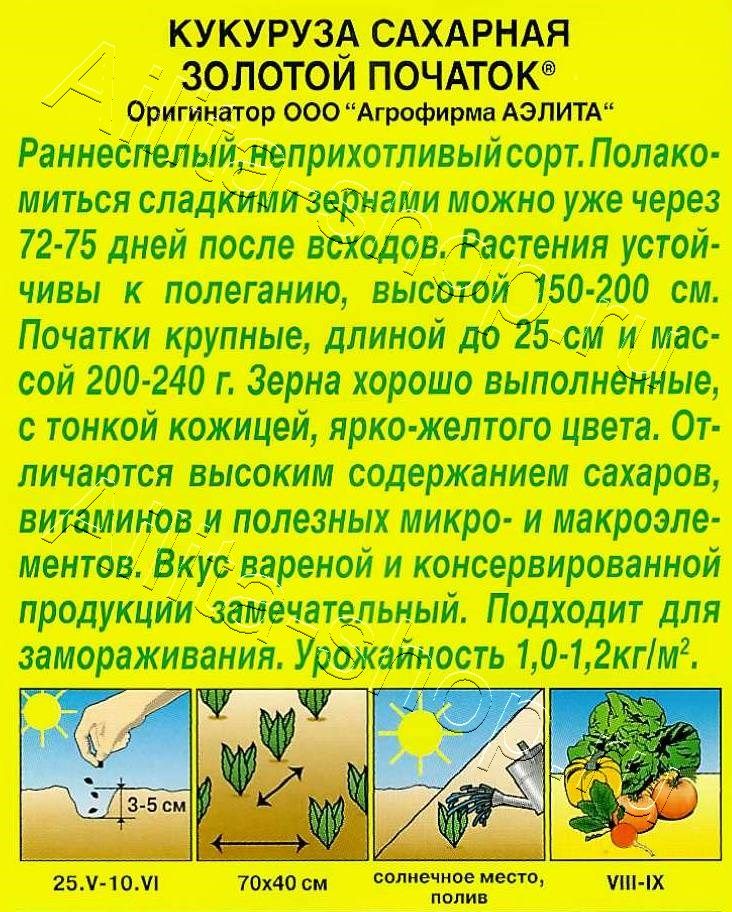 Кукуруза сахарная Золотой початок 7г