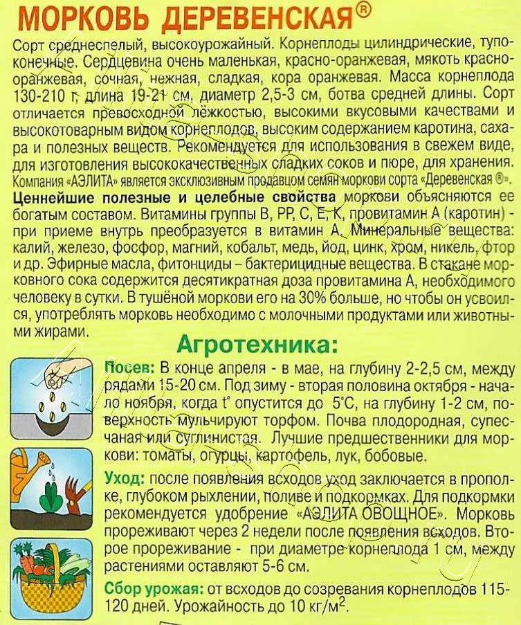 Морковь Деревенская 2г