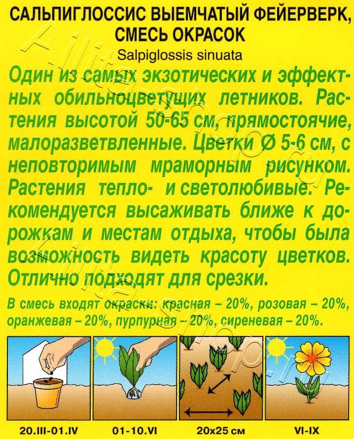 Сальпиглоссис Фейерверк, смесь окрасок 0,02г