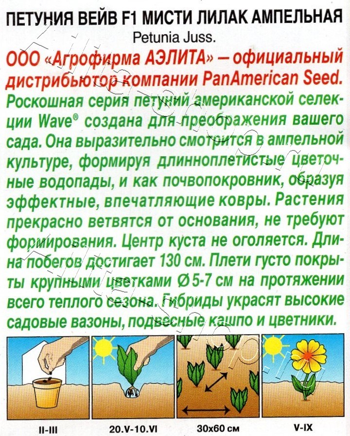 Петуния Вейв F1 мисти лилак ампельная 4шт