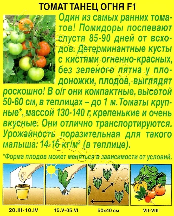 Томат Танец огня F1 20шт