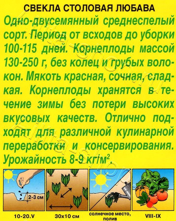 Свекла столовая Любава 2г