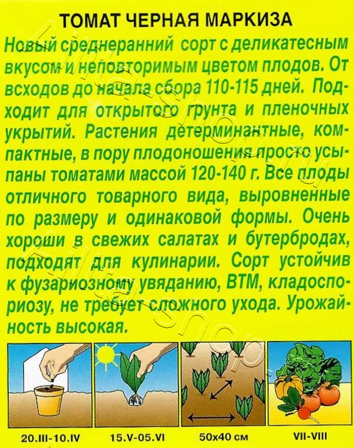 Томат Черная маркиза 20шт