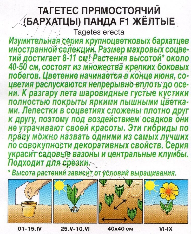Бархатцы Панда F1 желтые прямостоячие 7шт