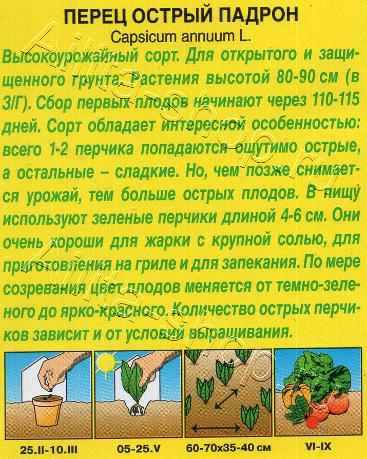 Перец острый Падрон 5шт