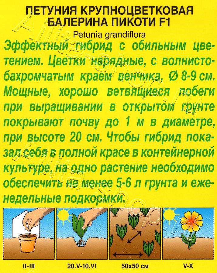 Петуния Балерина пикоти крупноцветковая F1 5шт