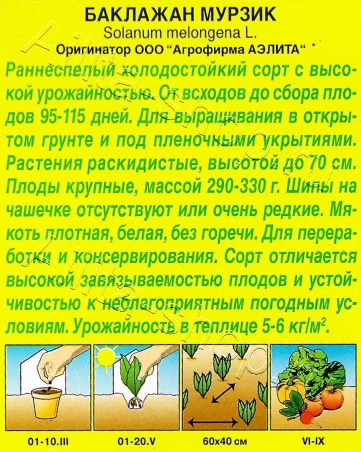 Баклажан Мурзик 0,1г