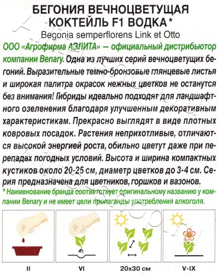 Бегония вечноцветущая Коктейль F1 водка 7шт