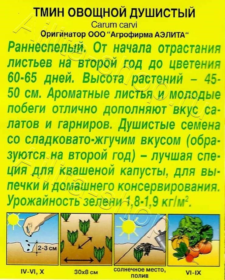 Тмин овощной Душистый 0,3г