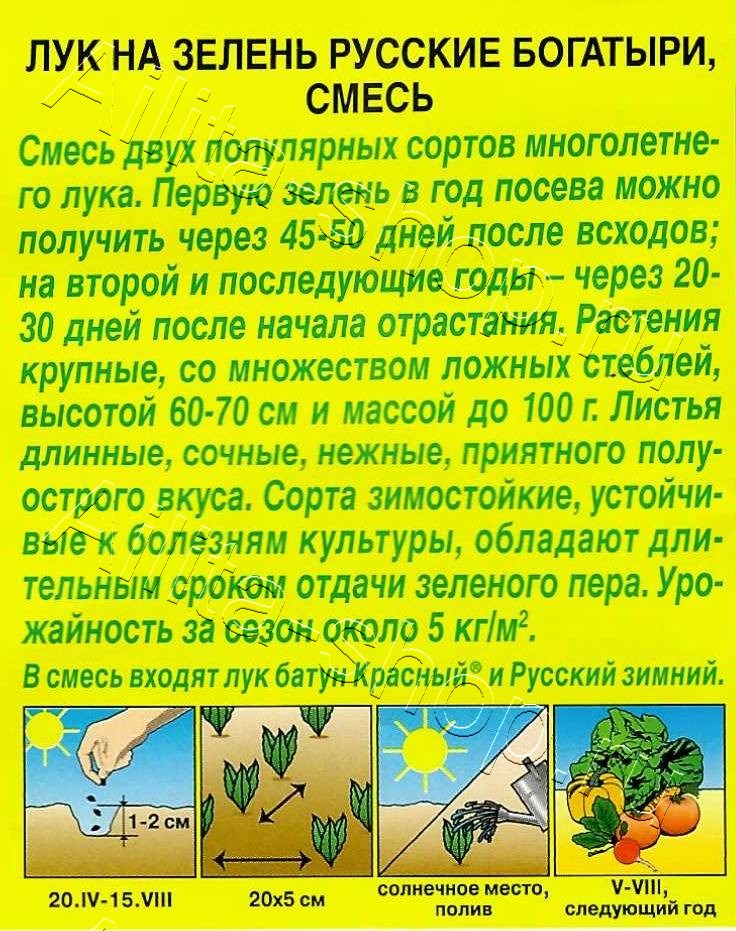 Лук на зелень Русские богатыри, смесь 1г