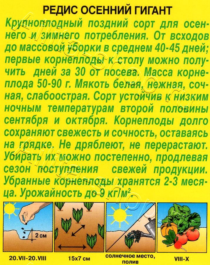 Редис Осенний гигант 2г