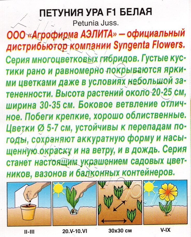 Петуния Ура F1 белая 7шт