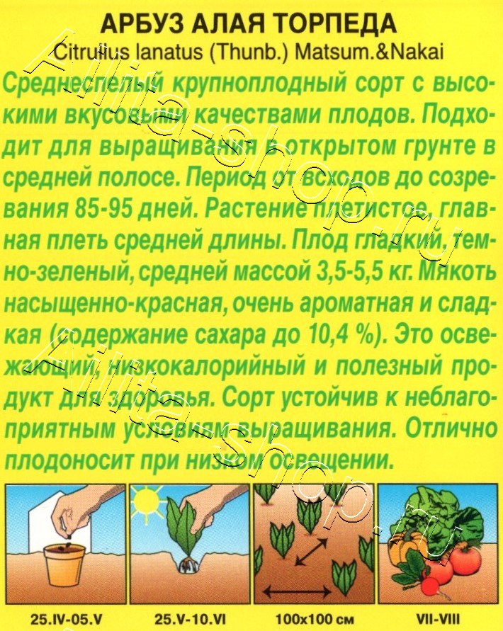 Арбуз Алая торпеда 1г