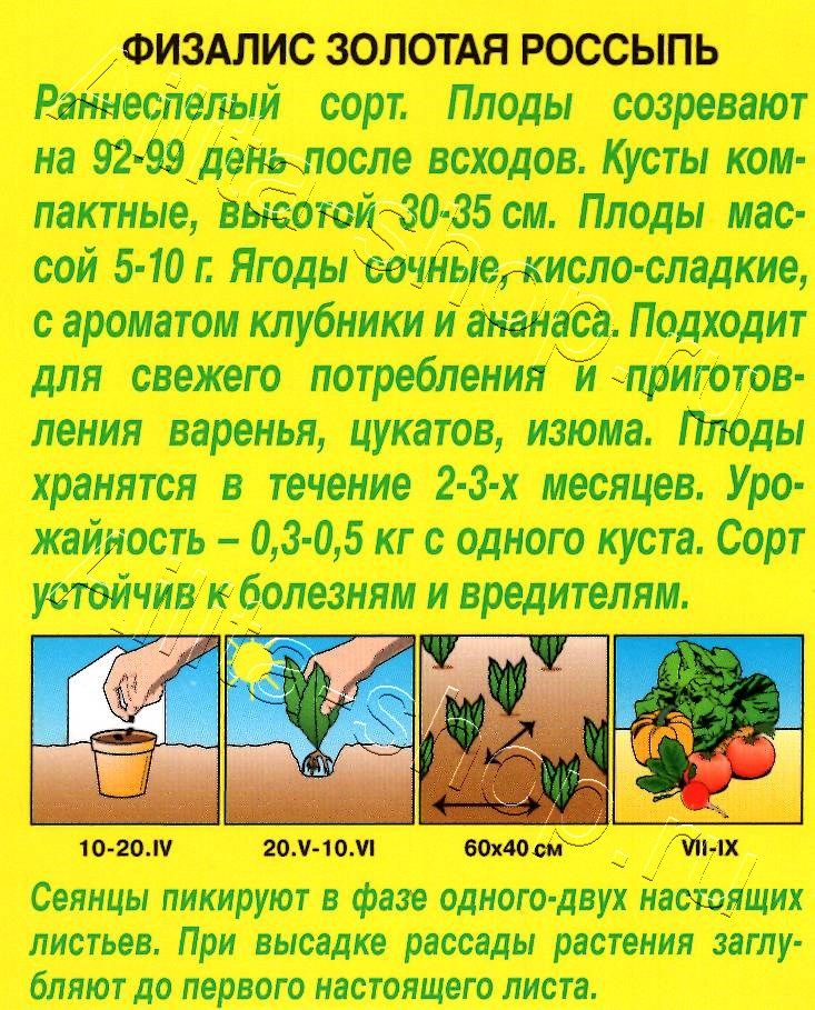 Физалис Золотая россыпь 0,2г