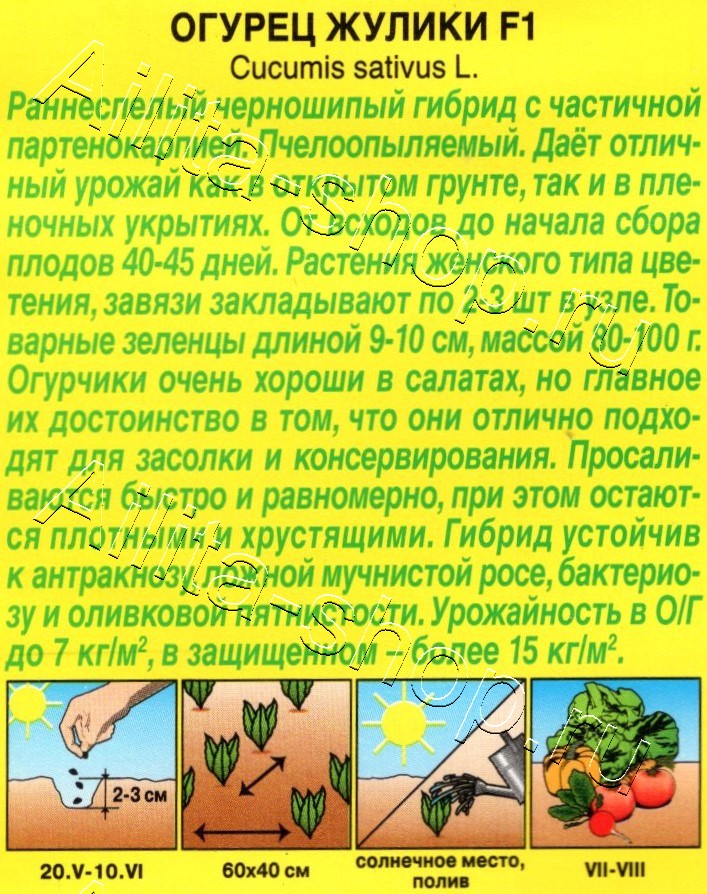 Огурец Жулики F1 10шт