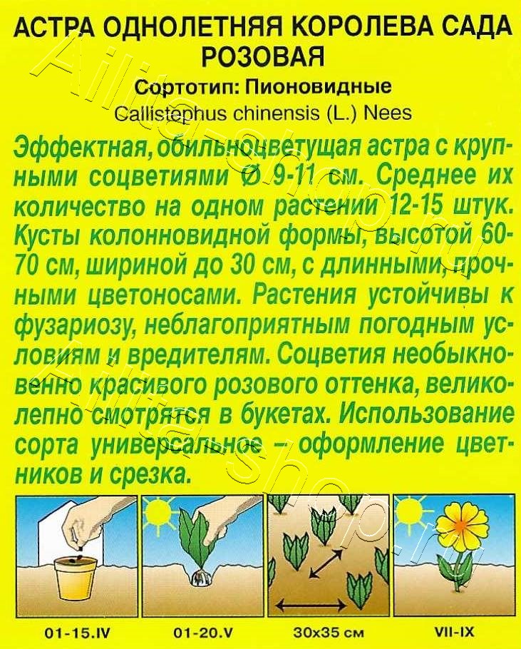 Астра Королева сада розовая 0,2г