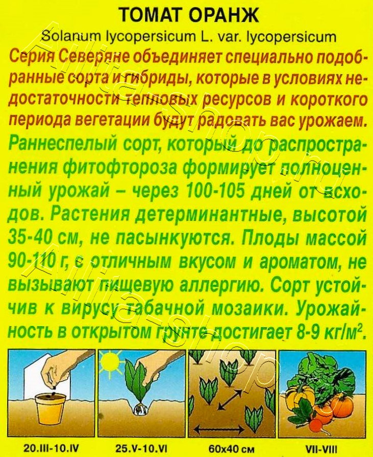 Томат Оранж 20шт