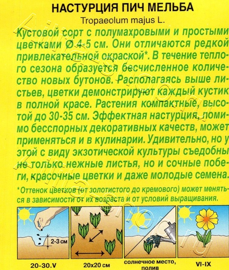 Настурция Пич Мельба 1г