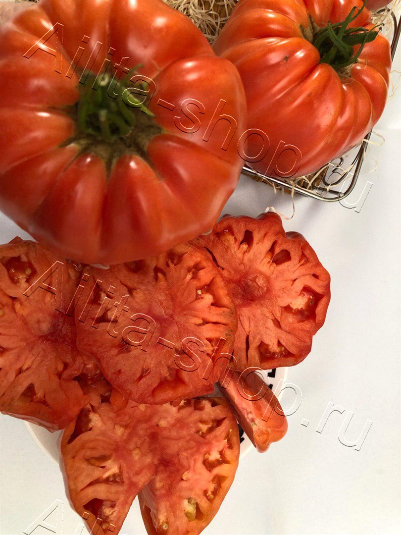 Томат Толстосум 20шт