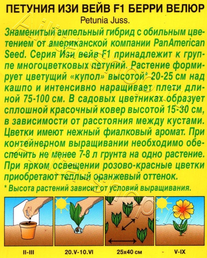 Петуния Изи вейв F1 берри велюр 5шт