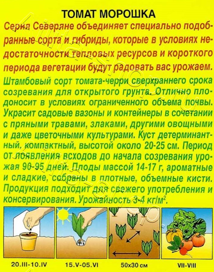 Томат Морошка 20шт