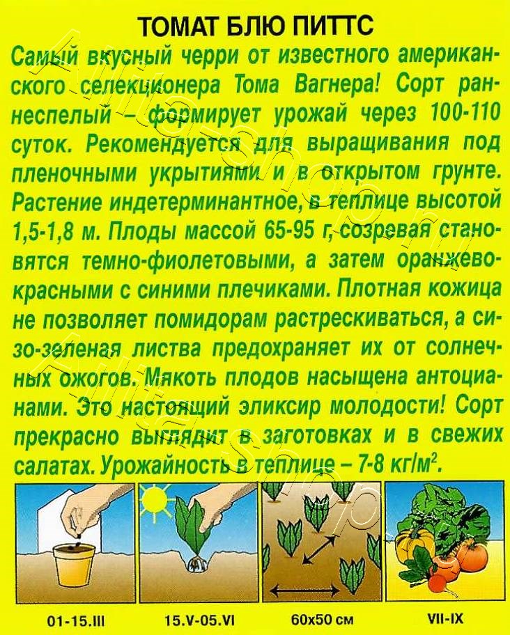 Томат Блю Питтс (Blue Pitts) 20шт