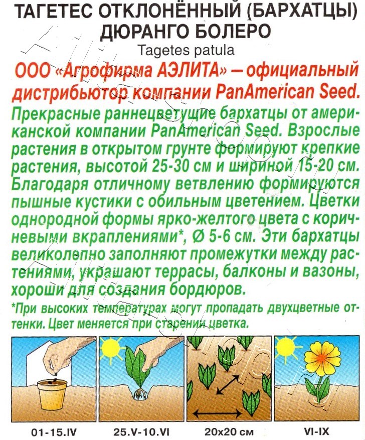 Бархатцы Дюранго Болеро отклоненные 7шт