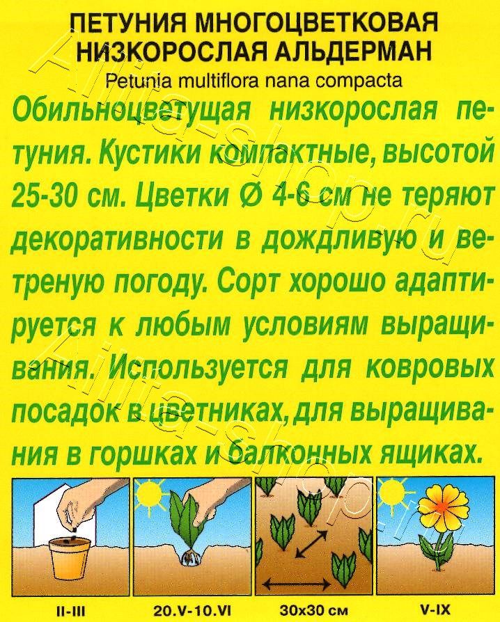 Петуния Альдерман многоцветковая 0,1г