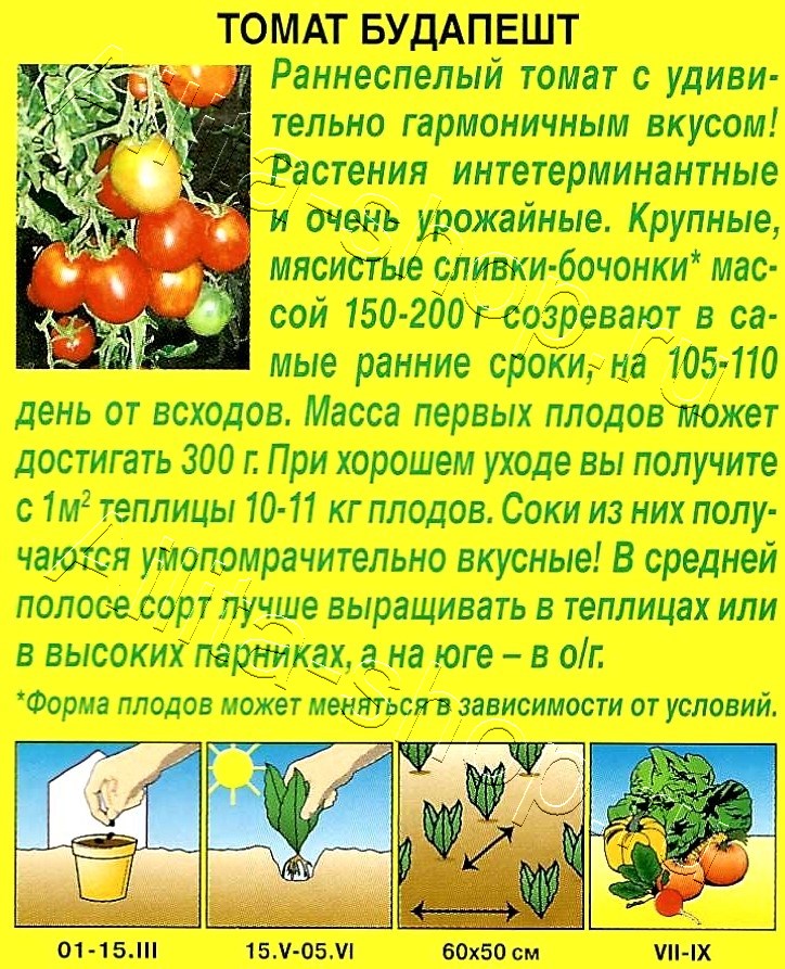 Томат Будапешт 0,2г