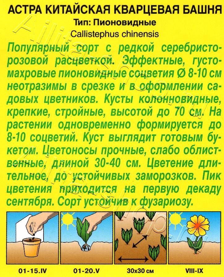 Астра Кварцевая башня 0,2г