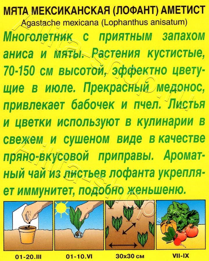 Мята мексиканская Аметист 0,05г
