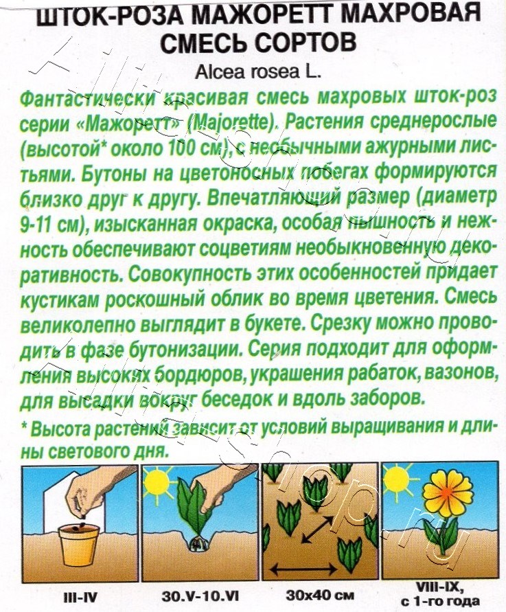 Шток-роза Мажоретт махровая, смесь сортов 15шт