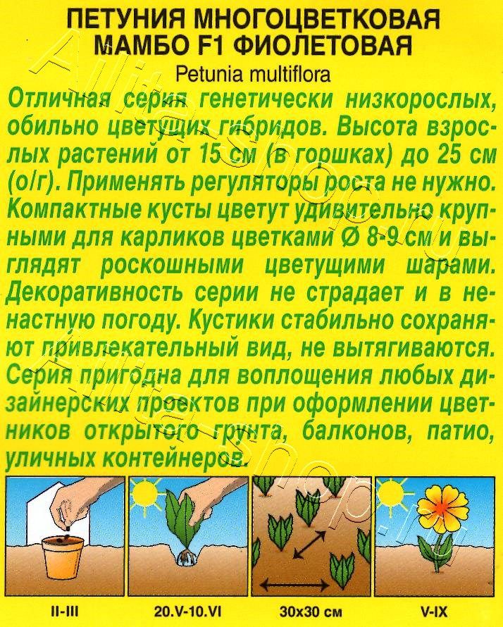 Петуния Мамбо F1 фиолетовая многоцветковая 7шт