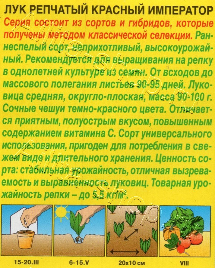 Лук репчатый Красный император 0,5г