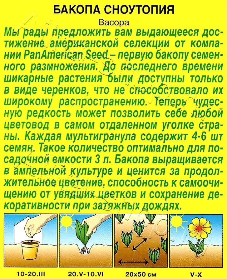 Бакопа Сноутопия 3шт