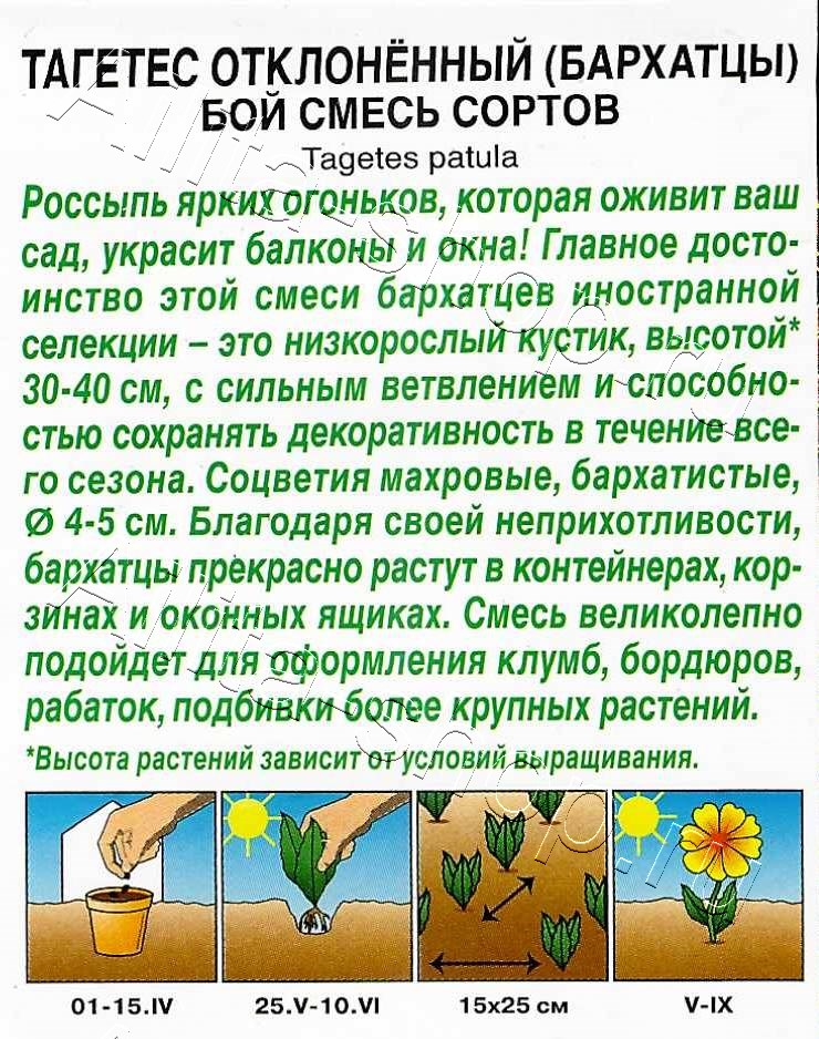 Бархатцы Бой, смесь сортов 7шт