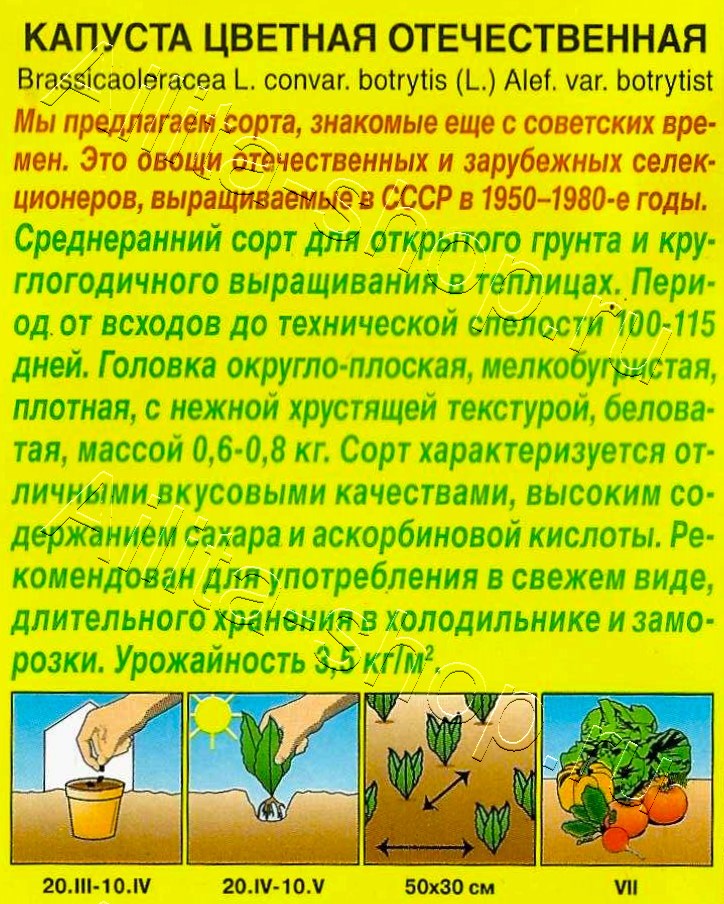 Капуста цветная Отечественная 0,3г