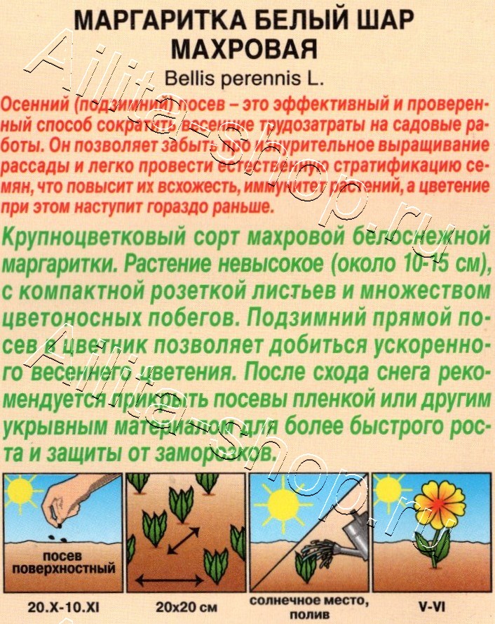 Маргаритка Белый шар махровая 0,05г
