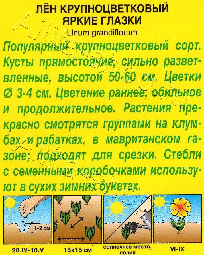 Лен крупноцветковый Яркие глазки 0,2г