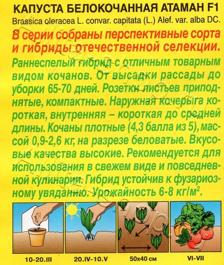 Капуста белокочанная Атаман F1 0,1г