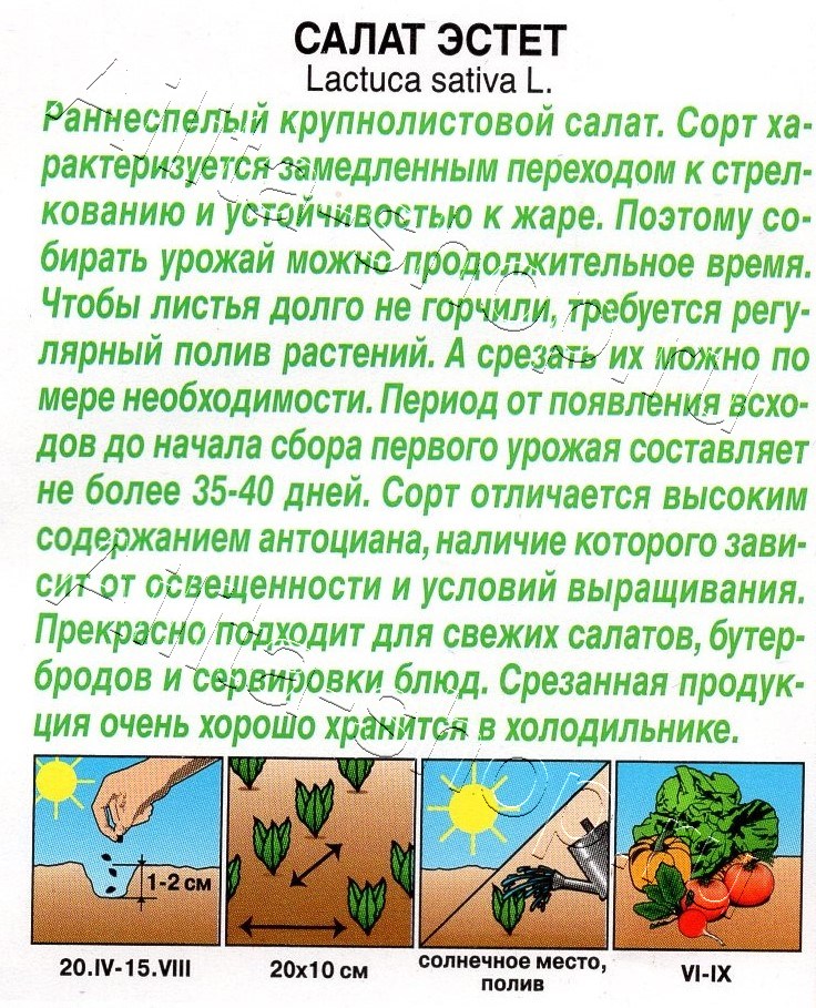 Салат Эстет 0,1г