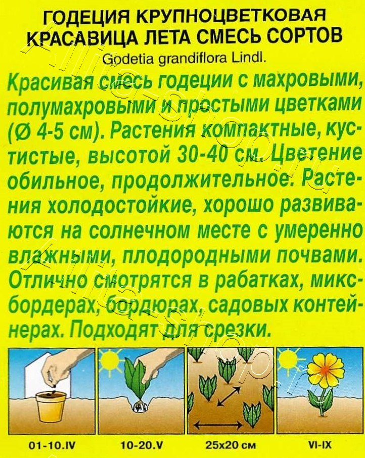 Годеция Красавица лета крупноцветковая, смесь сортов 0,05г
