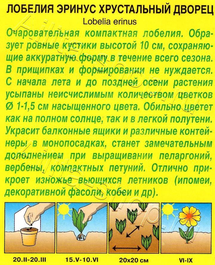 Лобелия Хрустальный дворец 0,05г