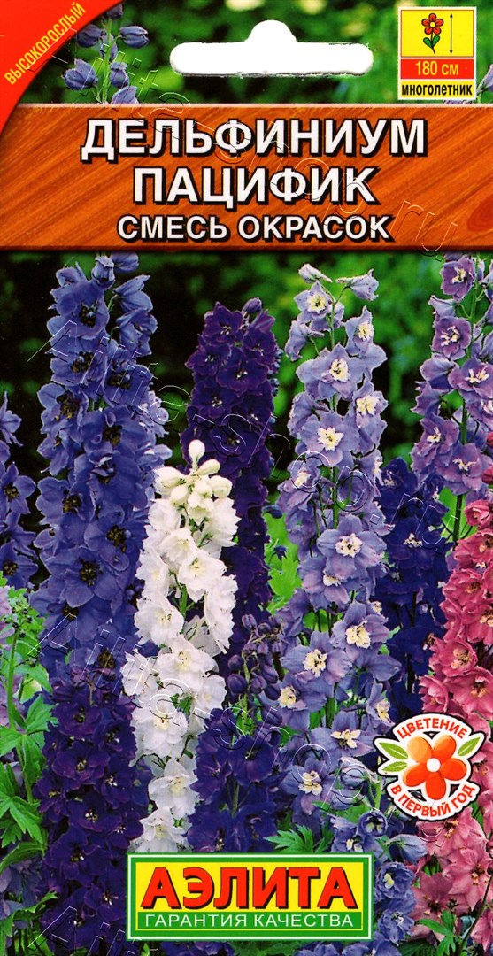 Дельфиниум Пацифик, смесь сортов 25шт
