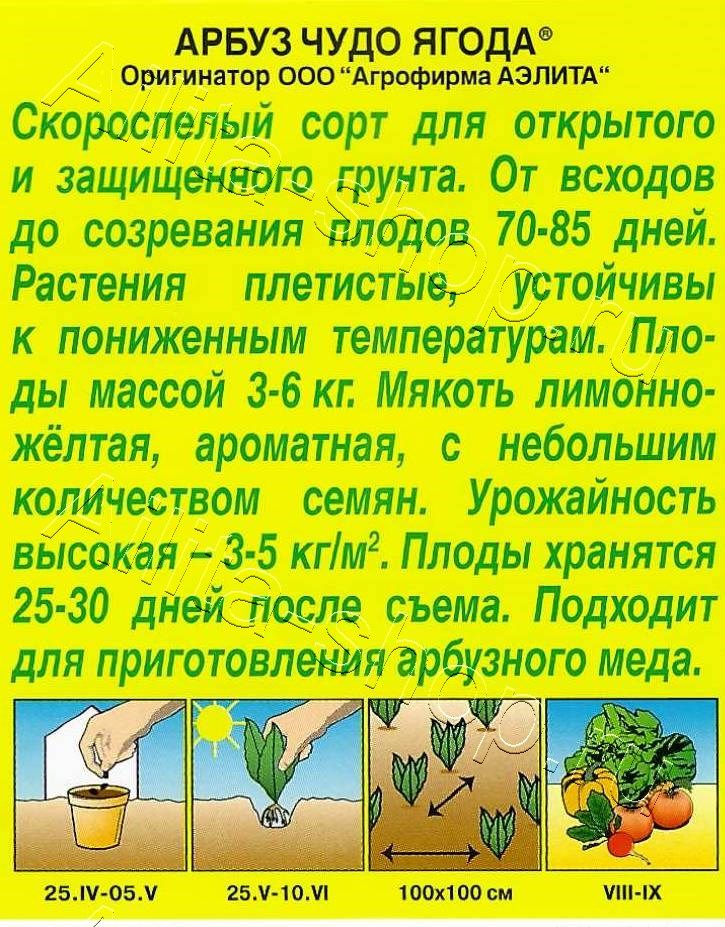 Арбуз Чудо ягода 1г