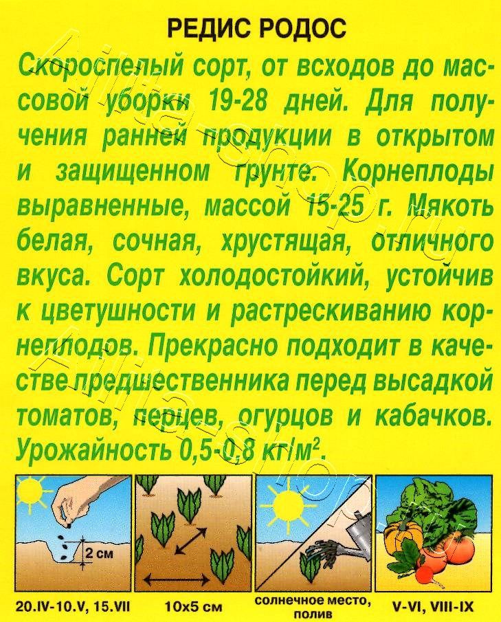 Редис Родос 3г