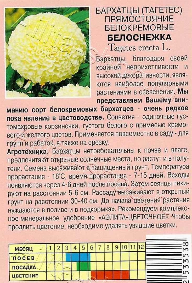 Бархатцы Белоснежка прямостоячие 0,05г