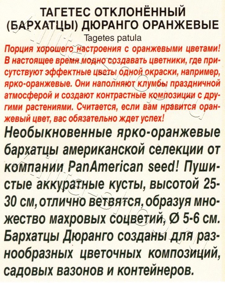 Бархатцы Дюранго оранжевые 7шт